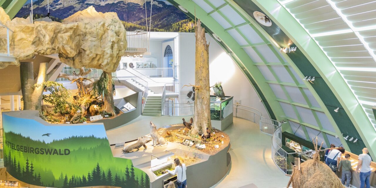 Museum Niederösterreich in St. Pölten: Wildnis Stadt - Archiviert