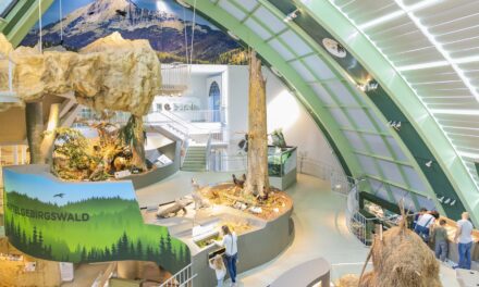 Museum Niederösterreich in St. Pölten: Wildnis Stadt - Archiviert