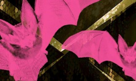 Das Opernhaus Zürich bis Frühjahr 2022 - Archiviert