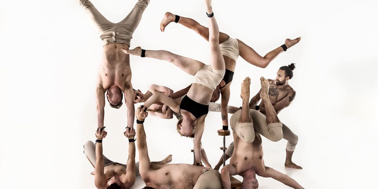 TANZ IM FEST/SPIEL/HAUS/ST/POELTEN Herbst 2021 bis Frühjahr 2022 - Archiviert