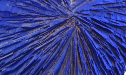 Salzburg Museum - Archiviert