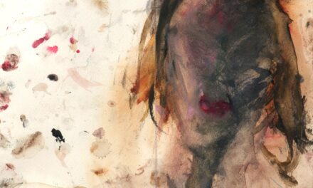 Stadtgalerie Klagenfurt: Die Sammlung Miessl - Archiviert