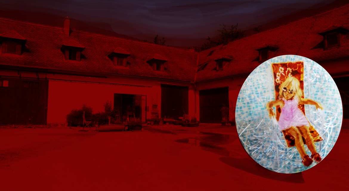 Landesgalerie Burgenland: stillleben. Birgit Sauer - Archiviert