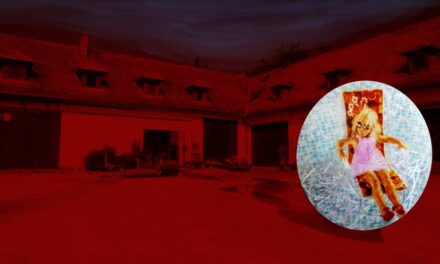 Landesgalerie Burgenland: stillleben. Birgit Sauer - Archiviert