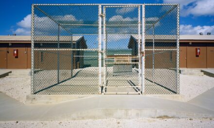 Das Stadthaus Ulm Frühjahr 2022 - Archiviert