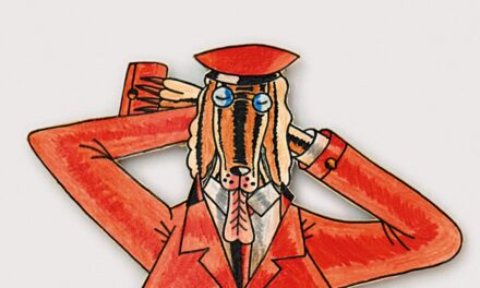 Das Stadthaus Ulm: Sonderausstellungen Winter 2021 - Archiviert