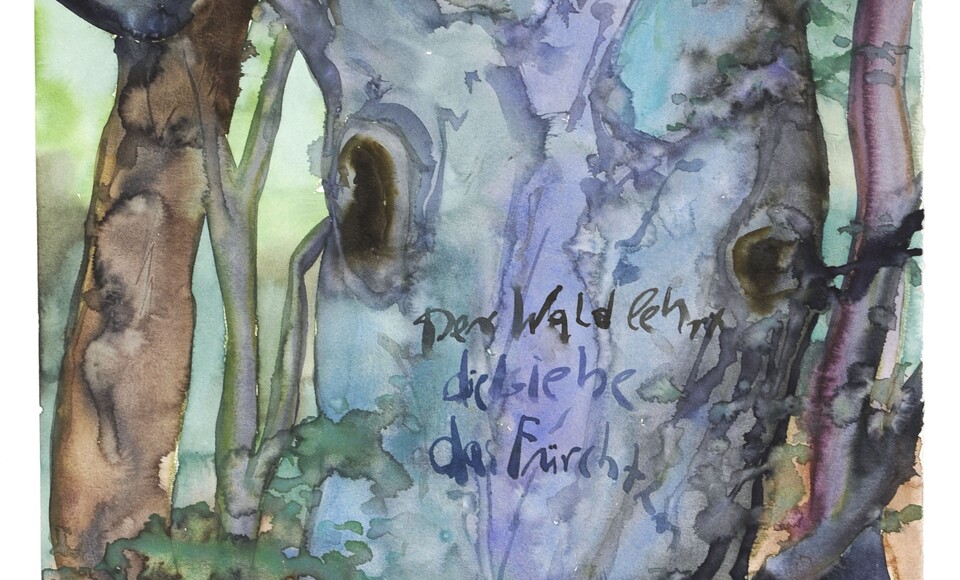 Günter Grass-Haus in Lübeck: Sonderausstellung „Into The Trees” - Archiviert