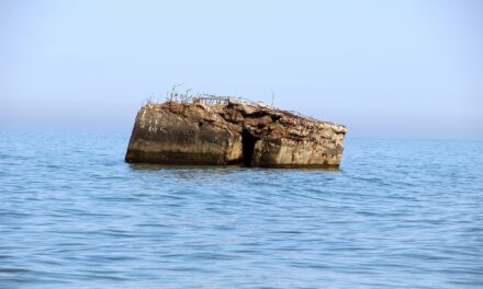 Museum Morsbroich: Anne Arndt – Die DDR hat’s nie gegeben - Archiviert