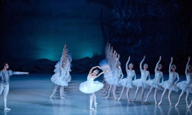 Paderhalle Paderborn: Schwanensee