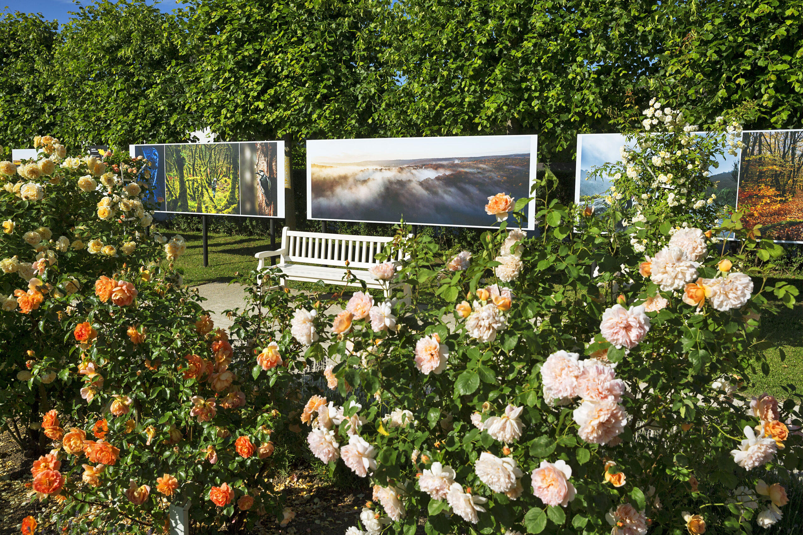 UNESCO Weltkulturerbe Baden © Fürnkranz