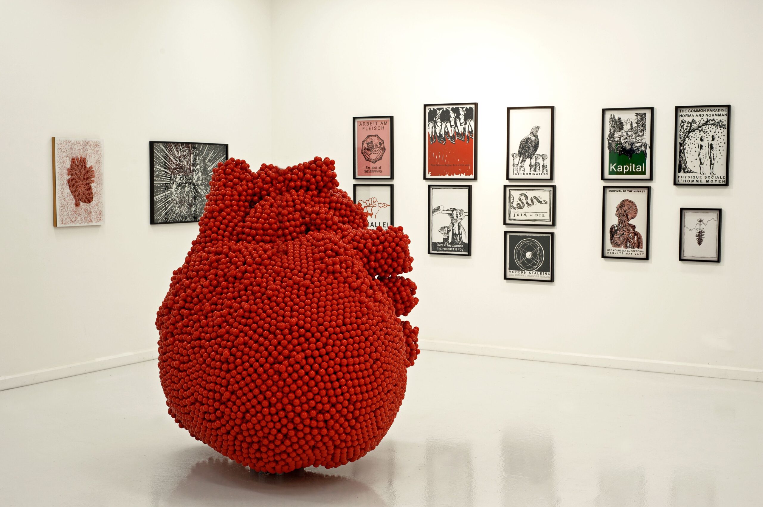 Thomas Feuerstein, Herz, Körperloses Organ II, 2005 Tiroler Landesmuseen, Moderne Sammlung © TLM