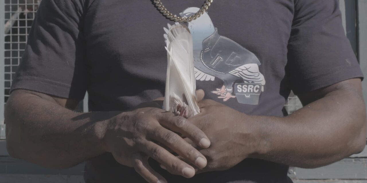 HALLE FÜR KUNST Steiermark: Ausstellungen 2022 - Archiviert