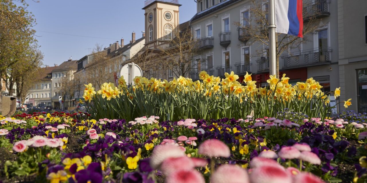 Bad Hall – die Kurstadt setzt auf Kultur: Unterhaltung auf höchstem Niveau! - Archiviert