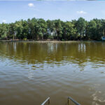 Waldbad Weixdorf Dresden: Musikalisches Picknick mit der Dresdner Philharmonie