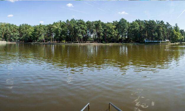 Waldbad Weixdorf Dresden: Musikalisches Picknick mit der Dresdner Philharmonie