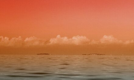 Oper Leipzig: Soto / Scholz / Schröder - Archiviert