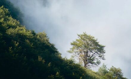 Oper Leipzig: Maskarade - Archiviert