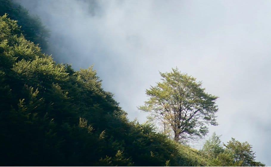 Oper Leipzig: Maskarade - Archiviert