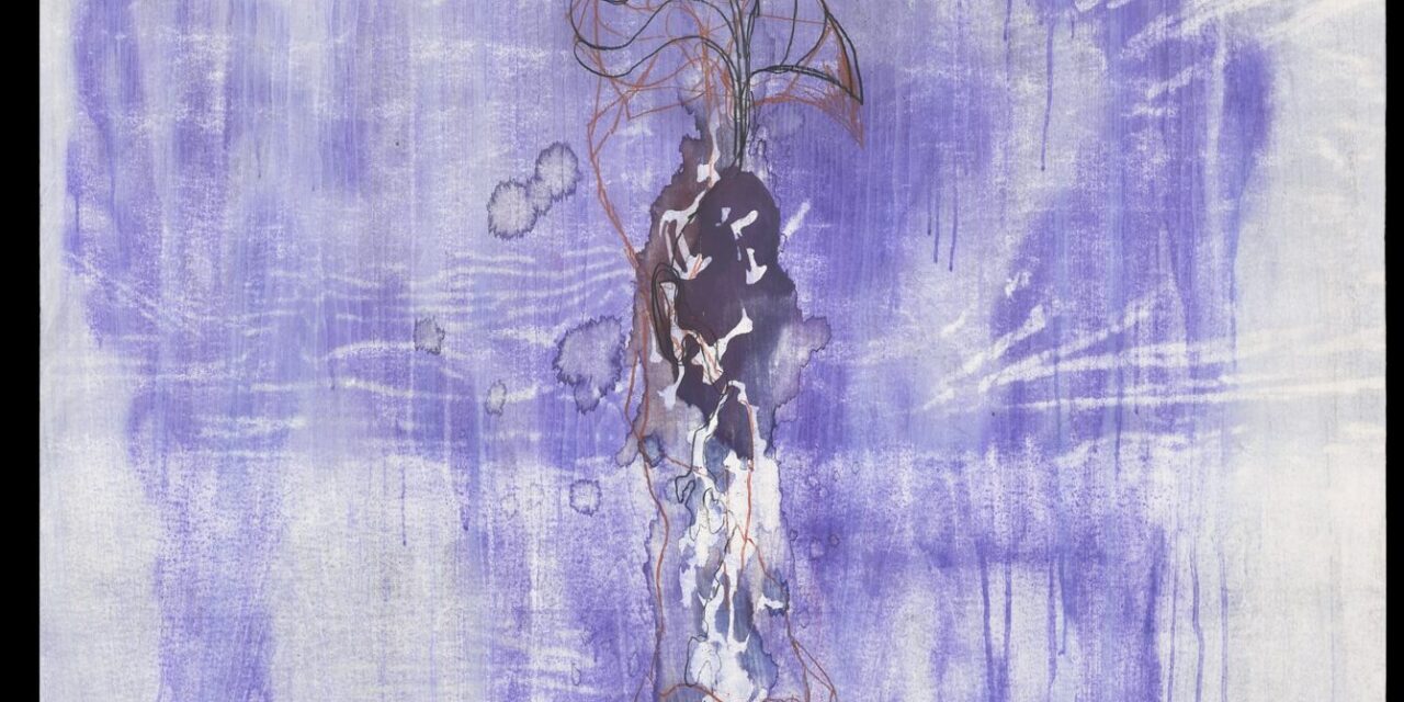 Museum der Moderne Salzburg: Cameron Jamie - Archiviert