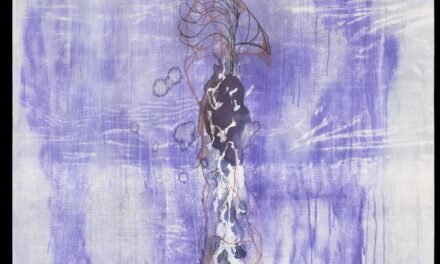 Museum der Moderne Salzburg: Cameron Jamie - Archiviert