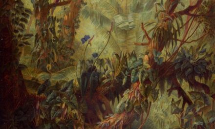 Naturhistorisches Museum Wien: Sonderausstellung „BRASILIEN. 200 Jahre Beziehungsgeschichten” - Archiviert