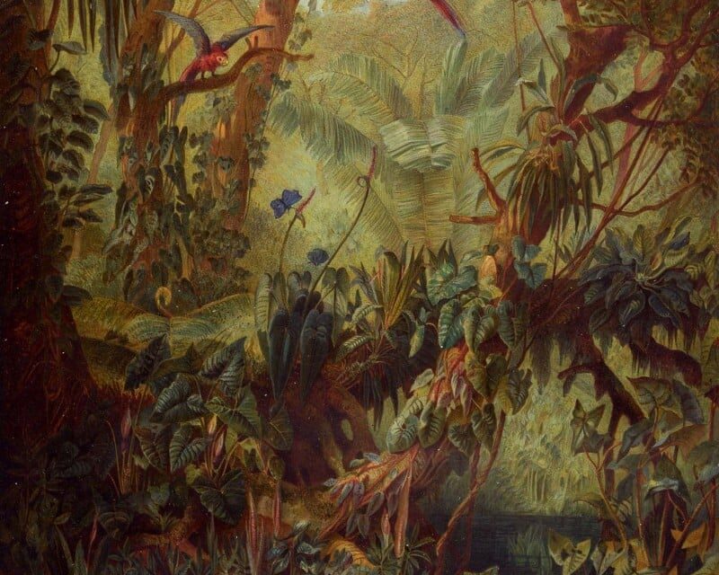 Naturhistorisches Museum Wien: Sonderausstellung „BRASILIEN. 200 Jahre Beziehungsgeschichten” - Archiviert