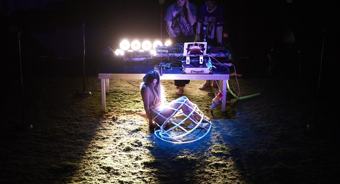 Vorarlberger Landestheater: King Kong Vivienne - Archiviert