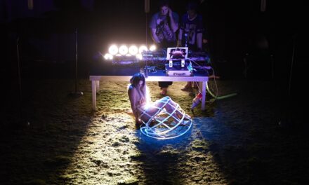 Vorarlberger Landestheater: King Kong Vivienne - Archiviert