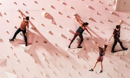 Fest/Spiel/Haus/St/Pölten: Rachid Ouramdane - Archiviert