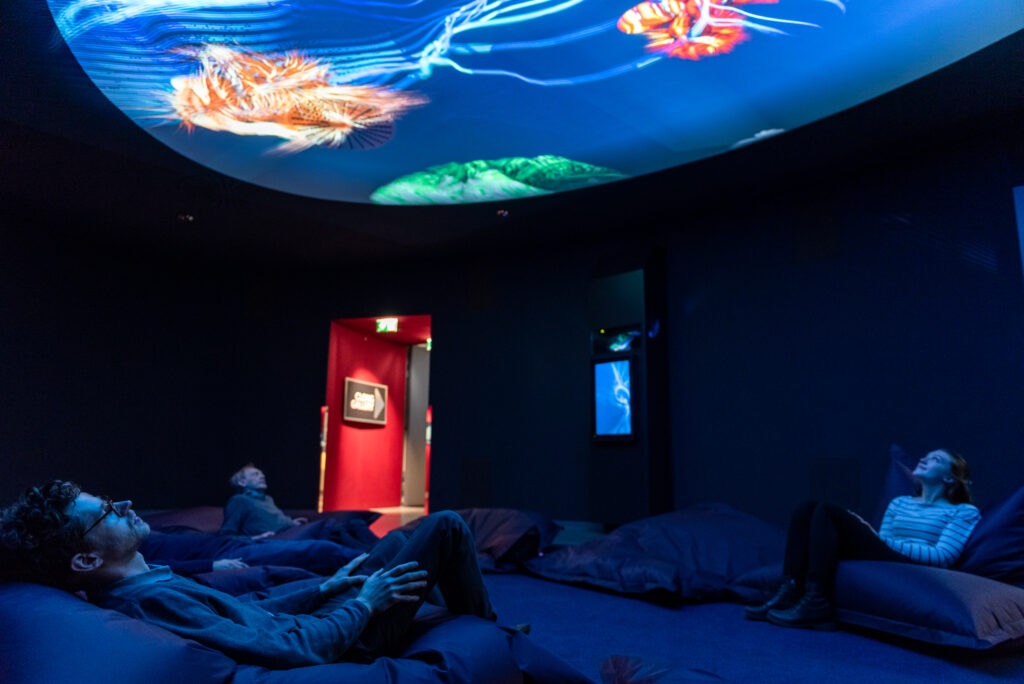 SONOTOPIA © Hanna Pribitzer