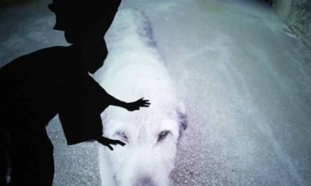 Haus der Kunst München: Joan Jonas - Archiviert