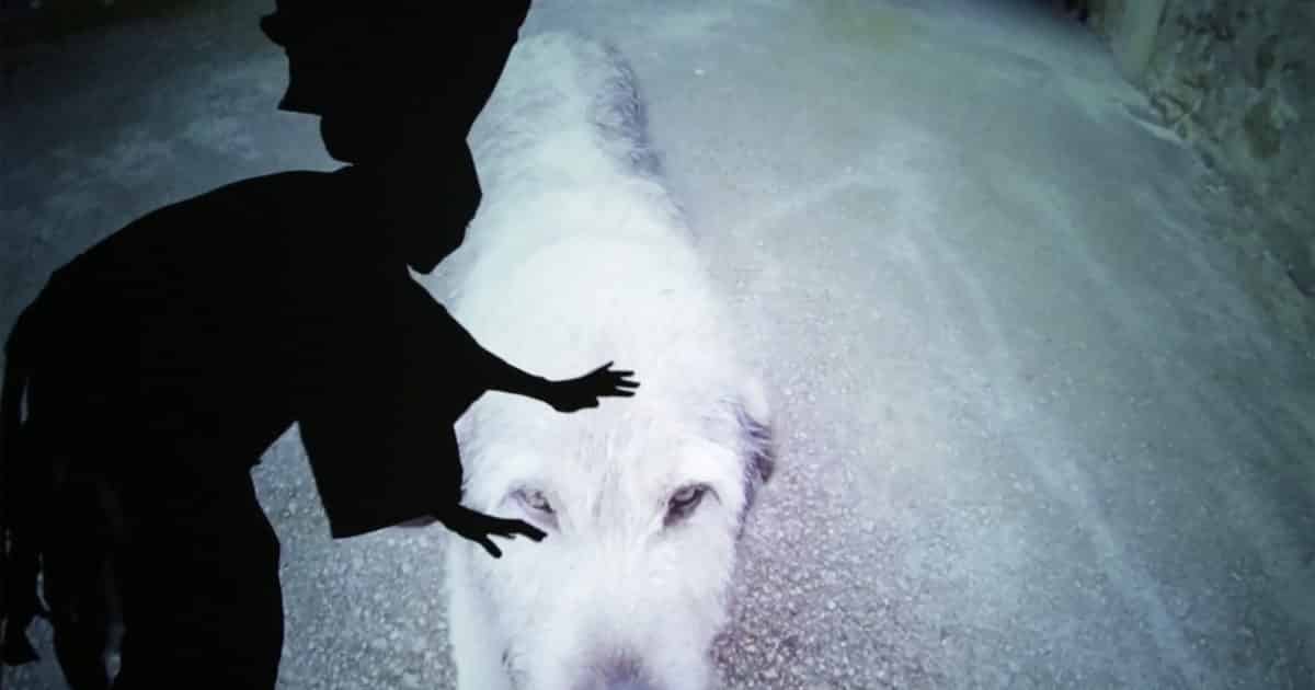 Haus der Kunst München: Joan Jonas - Archiviert