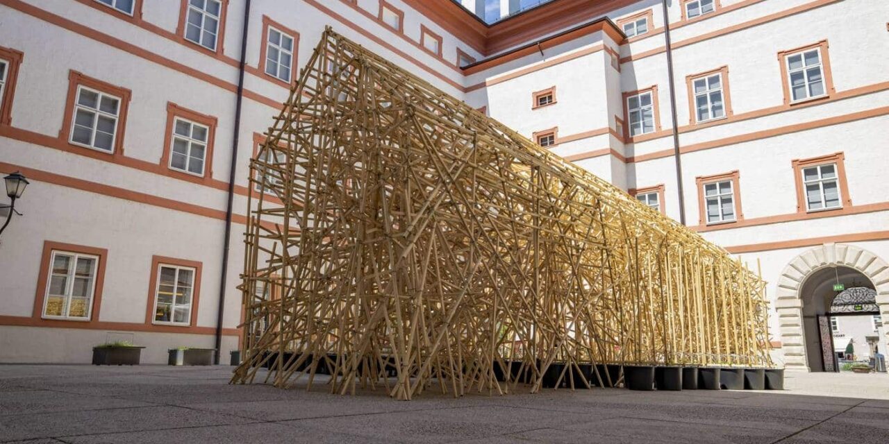 Salzburg Museum: Wilhelm Scheruebl: Oikos – Intervention mit Sonnenblumen - Archiviert