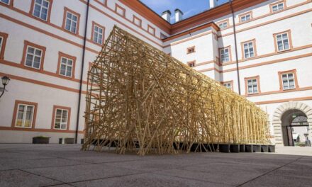 Salzburg Museum: Wilhelm Scheruebl: Oikos – Intervention mit Sonnenblumen - Archiviert