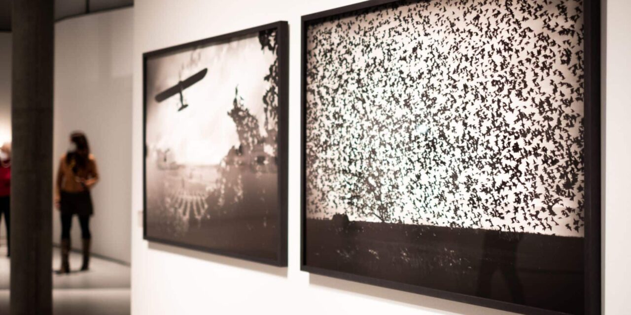 Kulturzentrum Oberschützen: Grenzland im Fokus - Archiviert