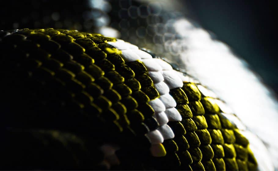 Oper Leipzig: Giulio Cesare - Archiviert