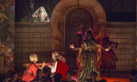 Theater Ulm: Amadigi di Gaula - Archiviert