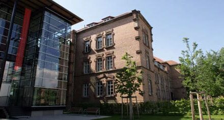 Städtische Galerie Offenburg: O(H) Wald