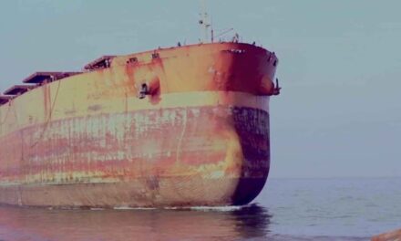 Museum Tinguely in Basel: Territories of Waste - Archiviert