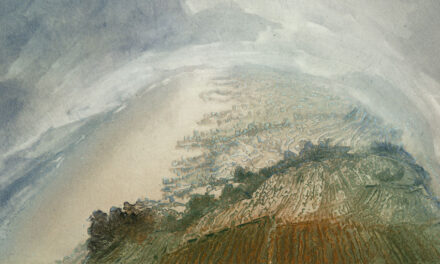 Museo Villa dei Cedri: Pietro Sarto. Metamorfosi Infinite - Archiviert