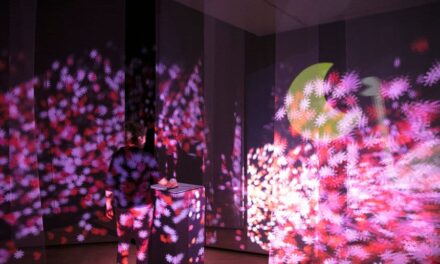 Gewerbemuseum Winterthur: François Chalet – Short Stories - Archiviert