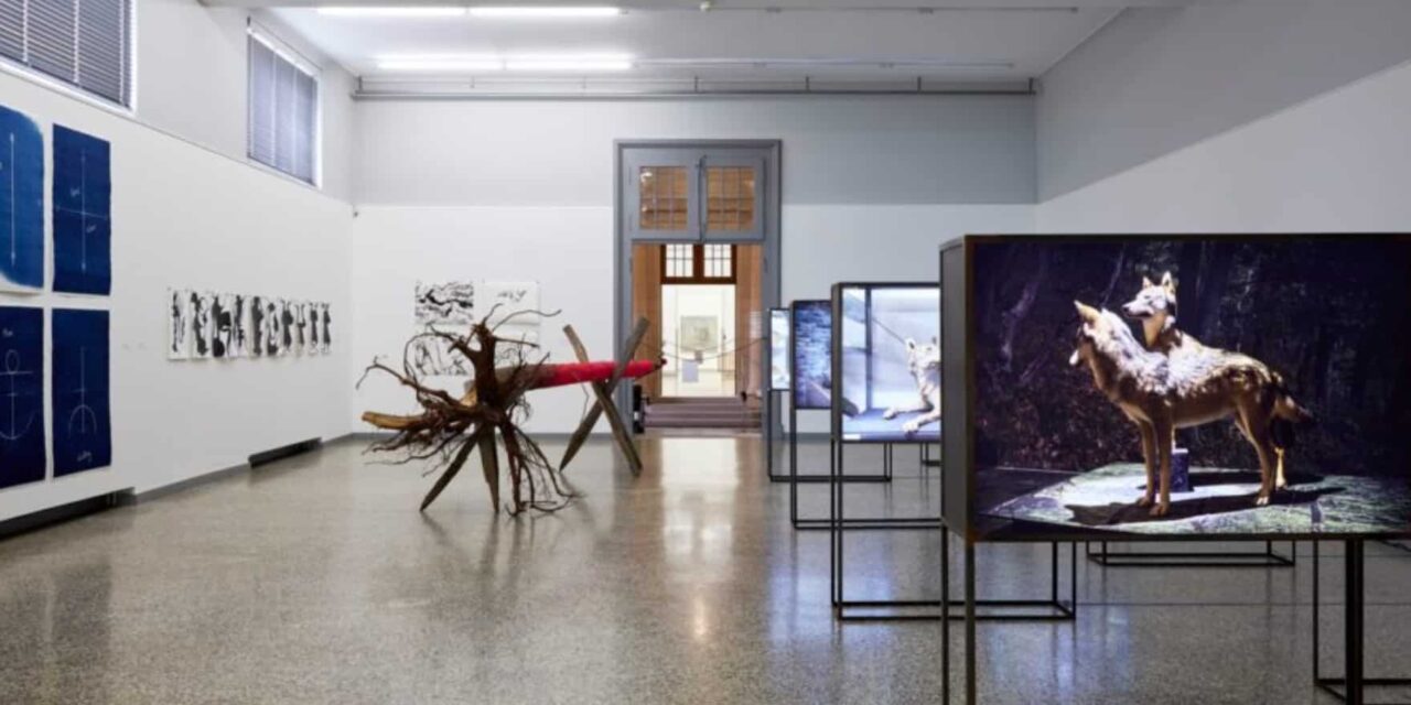 Kunstmuseum Solothurn: Kunstverein Solothurn – 38. Kantonale Jahresausstellung - Archiviert