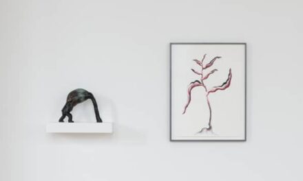 Kunstmuseum St. Gallen: Grace Schwindt – Defiant Bodies - Archiviert