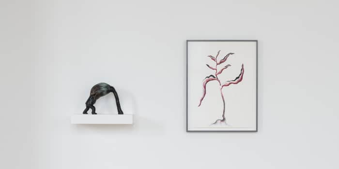 Kunstmuseum St. Gallen: Grace Schwindt – Defiant Bodies - Archiviert