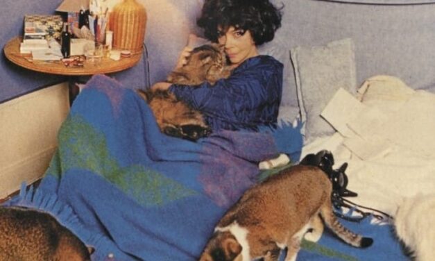 Kunstmuseum Bochum: Les Gardiennes