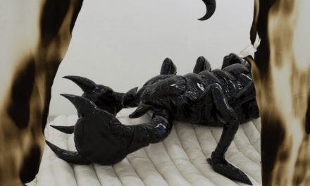 Kunsthalle Giessen: Mary-Audrey Ramirez - Archiviert