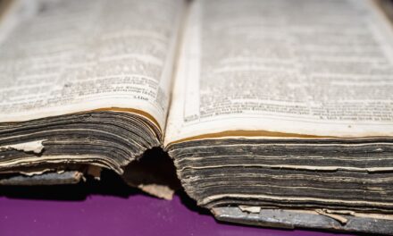 Das BIBEL MUSEUM BAYERN in Nürnberg:  1500 Jahre Bibel in Bayern - Archiviert