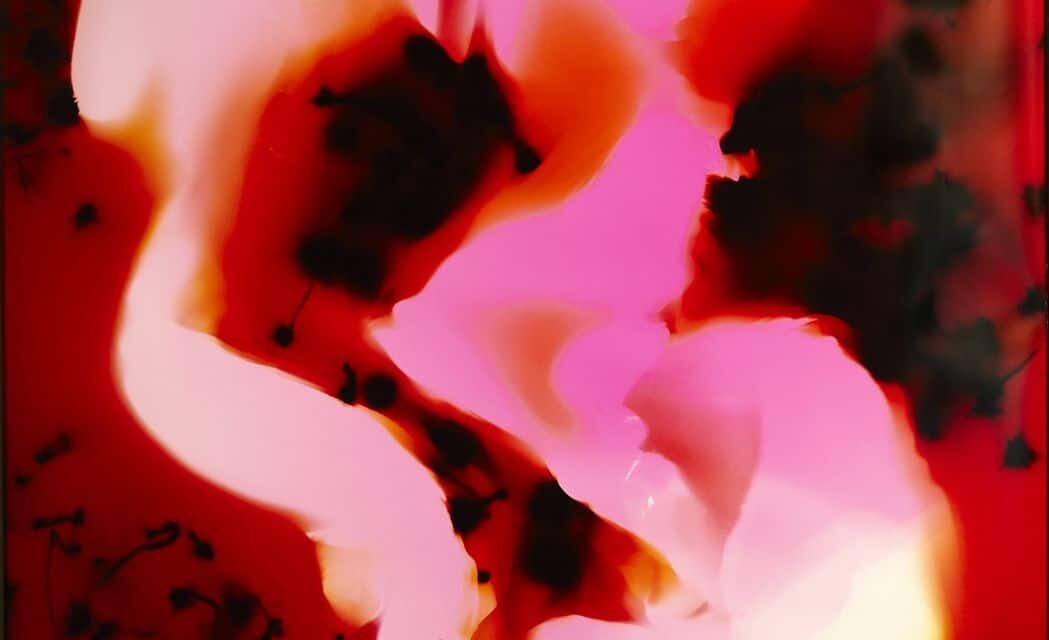 Bayerische Staatsoper: Ja, Mai – 2023. „Erwartung“ - Archiviert