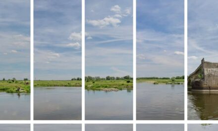 Pommersches Landesmuseum: Götz Lemberg – O_D_E_R-CUTS. - Archiviert