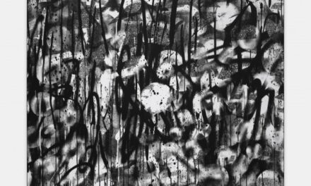 museum moderner kunst stiftung ludwig wien | mumok Wien: Adam Pendleton. Blackness, White, and Light - Archiviert